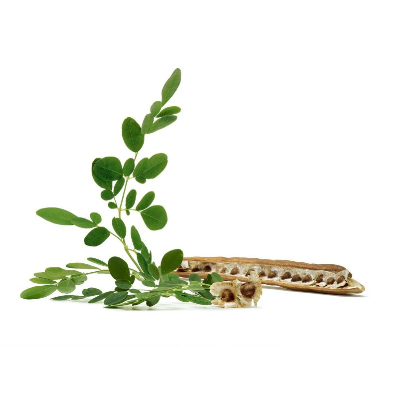 【400mL×4本セット】リンシングビネガー〈ピュアリフレッシュ〉うるツヤモリンガ