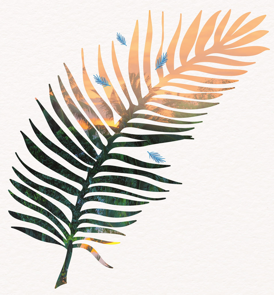 【ココナッツの香り】トータルケア3点セット|ボディローション・ミスト・ハンドクリーム