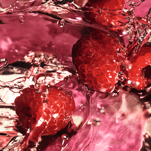 【400mL×5本セット】リンシングビネガー〈シルキーシャイン〉さらキララズベリー