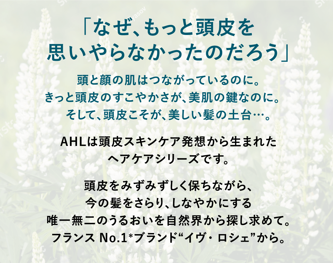 「なぜ、もっと頭皮を
思いやらなかったのだろう」頭と顔の肌はつながっているのに。きっと頭皮のすこやかさが、美肌の鍵なのに。そして、頭皮こそが、美しい髪の土台…。AHLは頭皮スキンケア発想から生まれたヘアケアシリーズです。頭皮をみずみずしく保ちながら、今の髪をさらり、しなやかにする唯一無二のうるおいを自然界から探し求めて。フランスNo.1*ブランド“イヴ・ロシェ”から。