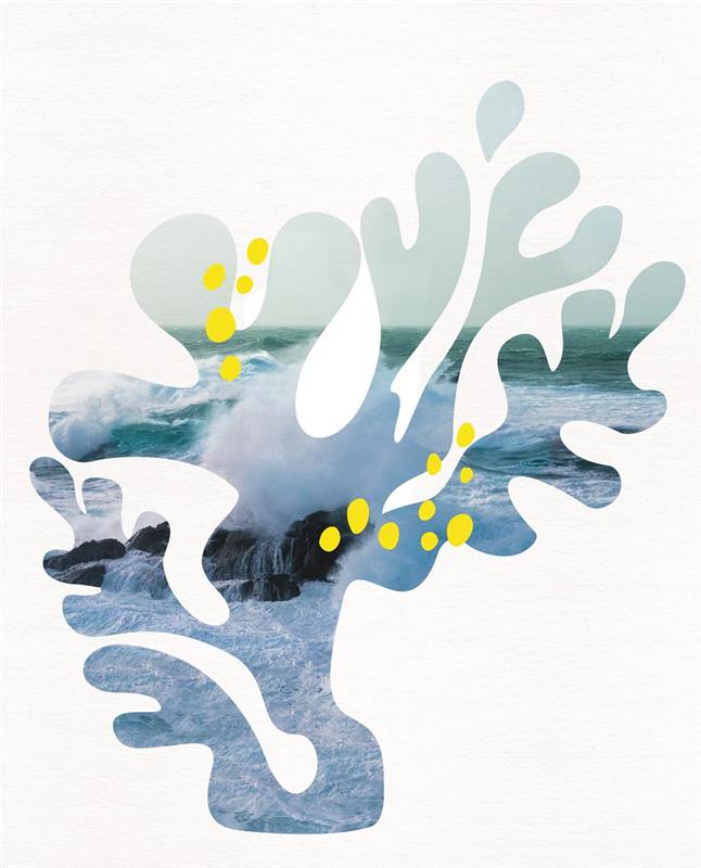 NEW YEAR 福袋2026 スペシャルセレクトCセット