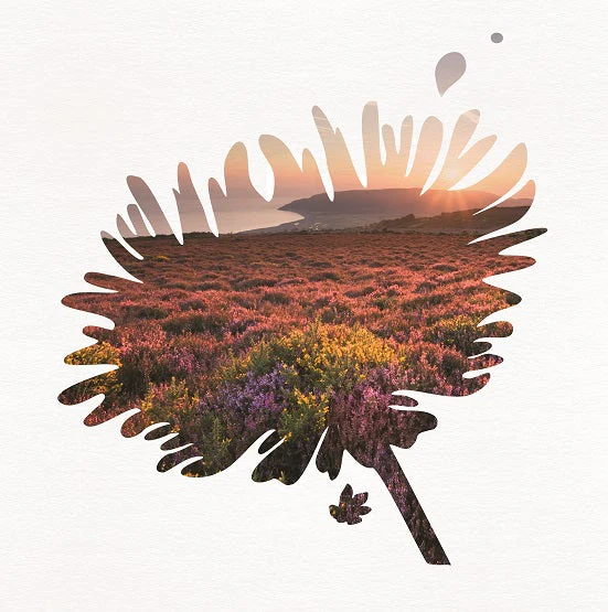 NEW YEAR 福袋2026 スペシャルセレクトAセット