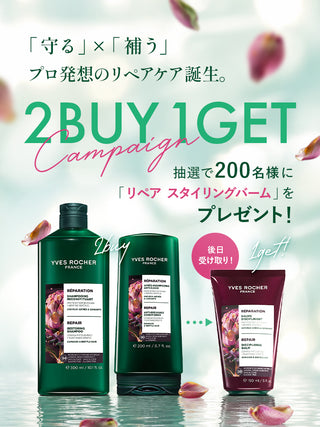 repair 2BUY1GET