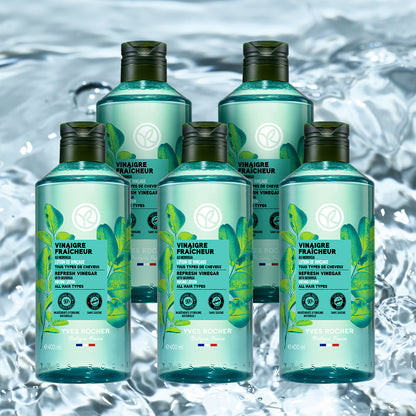 【400mL×5本セット】リンシングビネガー〈ピュアリフレッシュ〉うるツヤモリンガ