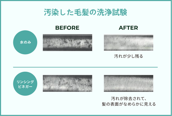 汚染した毛髪の洗浄試験