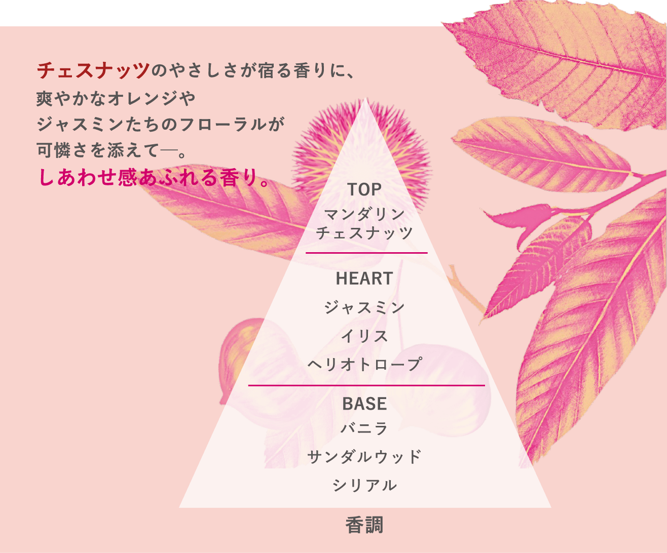 チェスナッツのやさしさが宿る香りに、爽やかなオレンジやジャスミンたちのフローラルが可憐さを添えて。しあわせ感あふれる香り。