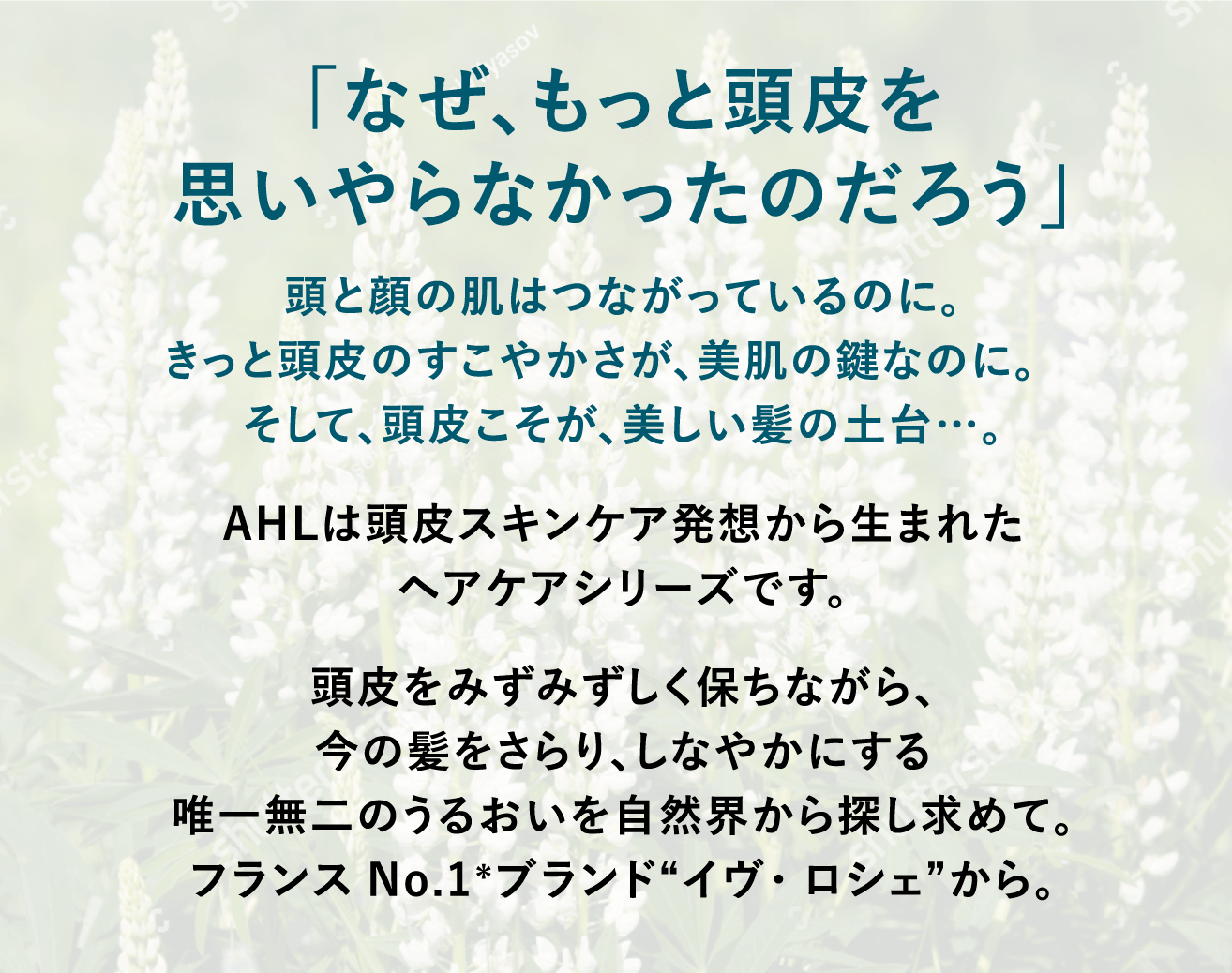 「なぜ、もっと頭皮を
              思いやらなかったのだろう」頭と顔の肌はつながっているのに。きっと頭皮のすこやかさが、美肌の鍵なのに。そして、頭皮こそが、美しい髪の土台…。AHLは頭皮スキンケア発想から生まれたヘアケアシリーズです。頭皮をみずみずしく保ちながら、今の髪をさらり、しなやかにする唯一無二のうるおいを自然界から探し求めて。フランスNo.1＊ブランド“イヴ・ロシェ”から。