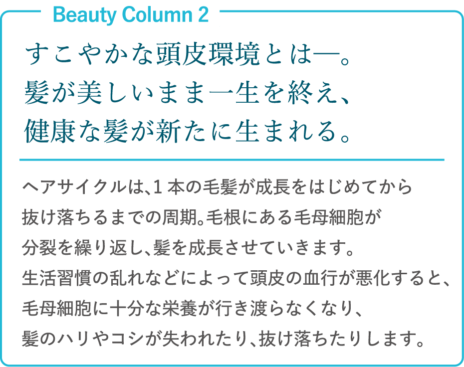 すこやかな頭皮環境とは─。髪が美しいまま一生を終え、健康な髪が新たに生まれる。